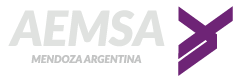 AEMSA