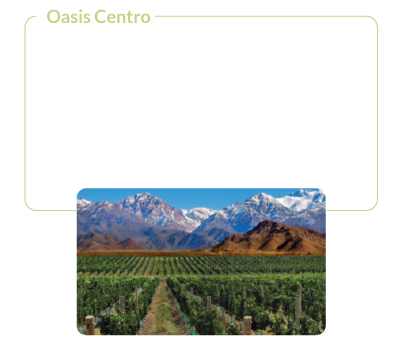Oasis Centro