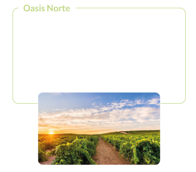 Oasis Norte