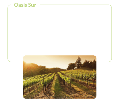 Oasis Sur